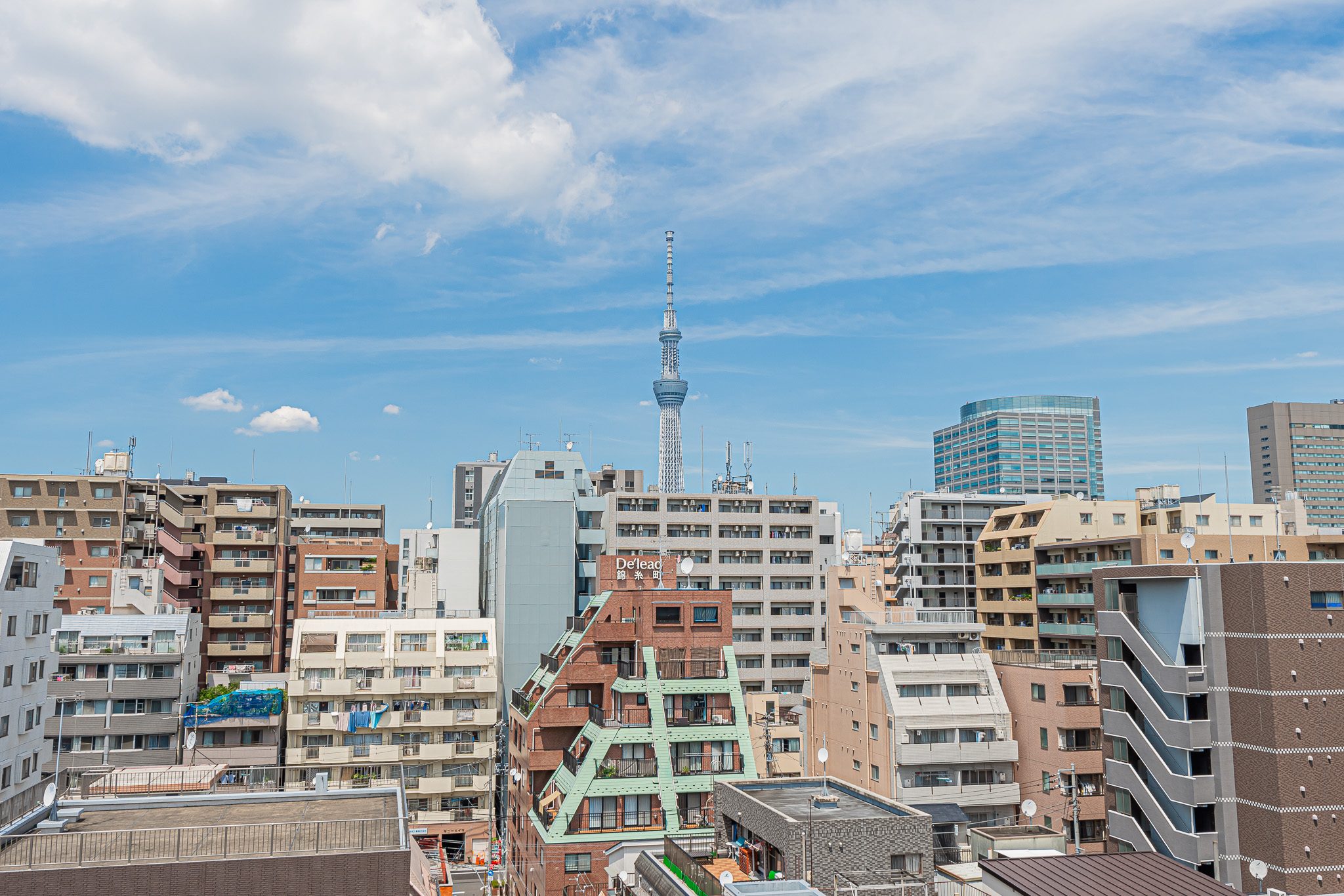 Tokyo city view from the property